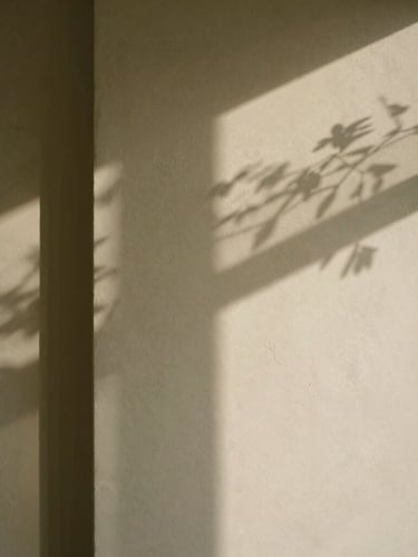 Quiet architectural detail of a sunlit corner inside the clinic, soft shadow of a branch on a textured beige plaster wall, minimalist Lemaire aesthetic, 35mm