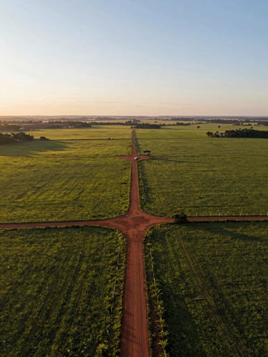Wide aerial drone view over a large rural property boundary in central Brazil, red-clay farm roads cutting through green pasture and cropland at golden morning light, fence lines and land markers visible from above, horizon low, expansive sky to the upper third