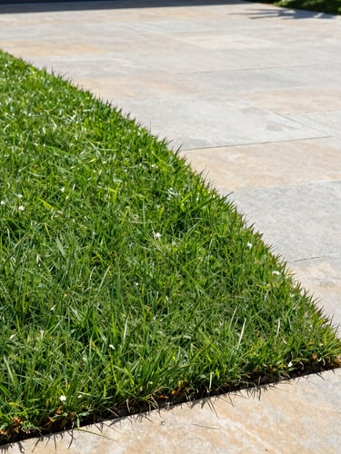 A close-up shot of a perfectly manicured lawn edge against a clean stone driveway, sharp focus, bright morning daylight, showing crisp lines and clean property care.