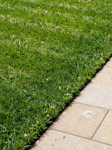 Close-up portrait-oriented editorial shot of a crisp, striped green lawn next to a clean stone walkway, bright morning daylight, rich forest green tones, sharp focus, 35mm