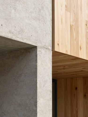 A close-up of clean, modern architectural concrete lines meeting warm wooden panels under soft, natural morning sunlight.