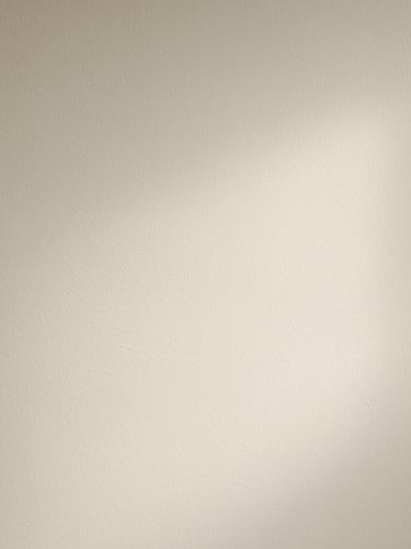Close-up of a freshly painted interior wall surface in warm off-white, soft natural window light raking across the smooth matte finish, roller marks barely visible, wall fills the entire frame