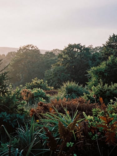 A quiet, high-contrast landscape photo of Snelsmore Common at dawn, soft overcast English daylight, deep forest green foliage in the background, misty atmosphere, 35mm photography.