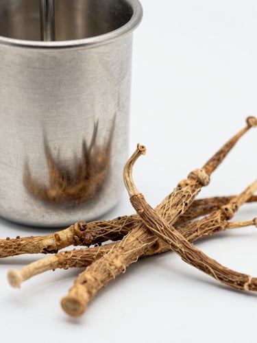 Extreme macro close-up of dry Ashwagandha roots next to a sterile stainless steel extraction vessel, clinical white lighting, sharp focus.