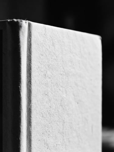 Close-up tátil da capa de um livro de arte, textura de papel off-white, com parte da lombada visível, luz lateral suave de janela criando sombras profundas, fundo desfocado.