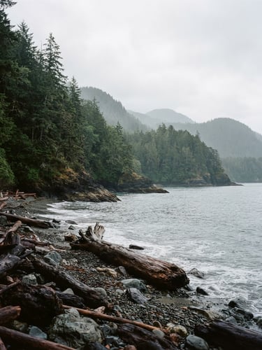 A quiet coastline in the Pacific Northwest under a soft overcast sky, misty green pine trees lining the shore, warm earth tones, 35mm photography