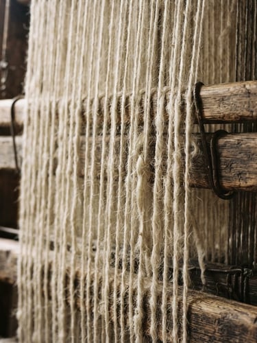 Macro close-up of pristine raw New Zealand wool strands tensioned on a traditional timber loom, soft side-lit natural daylight