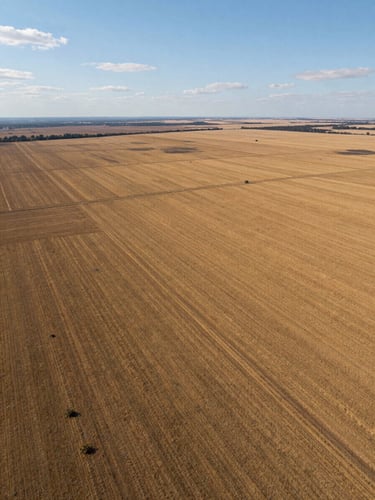 Wide panoramic aerial view of a large undeveloped land parcel at midday, golden-brown earth and boundary lines visible from above, shot from a high angle with expansive sky to the upper left and the parcel occupying the right two-thirds of the frame, natural daylight with sharp shadow definition across the terrain