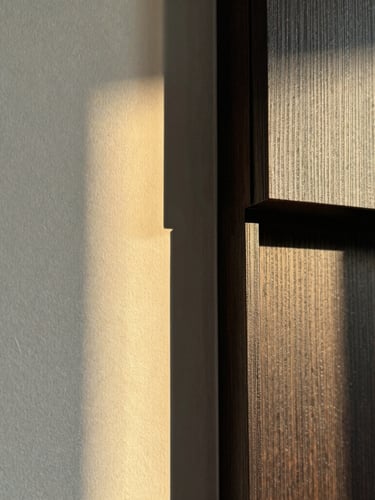 Close-up macro shot of premium textured matte paint on a wall, intersecting with a sleek dark wood panel, sharp focus, architectural lighting, luxury interior detail
