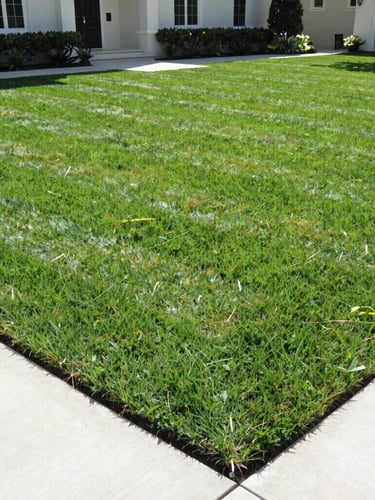 A wide-angle, crisp 35mm photograph of a luxury Jacksonville estate with perfectly striped, deep-green Bermuda grass under bright morning sunlight, sharp concrete driveway edges.