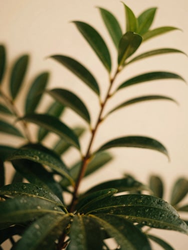 Close-up of elegant green botanical foliage, soft golden-hour sunlight filtering through leaves, warm cream background, shallow depth of field, editorial photography