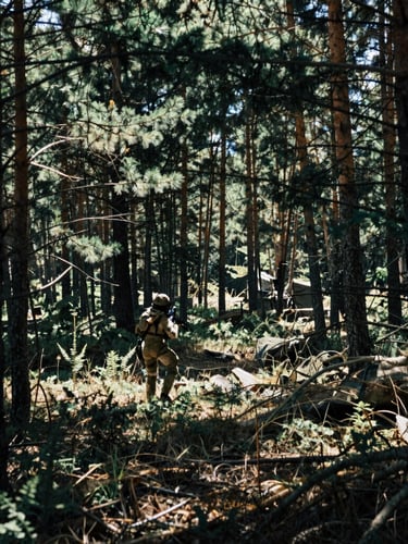 Gritty tactical photography of a dense Hungarian pine forest, dappled sunlight filtering through branches, unpolished realistic airsoft field terrain