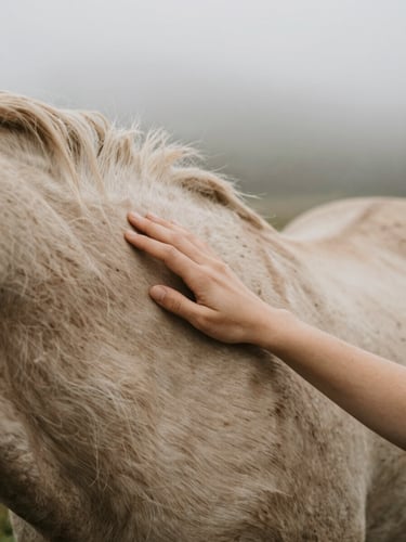 A close-up of a hand gently resting on a horse's neck in misty morning Pacific Northwest light, showing soft textures of the coat.