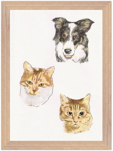 portraits d'un chien et trois chats façon BD couleur imprimés sur poster encadré bois FSC