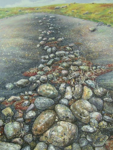 bed of rocks near Iqaluit