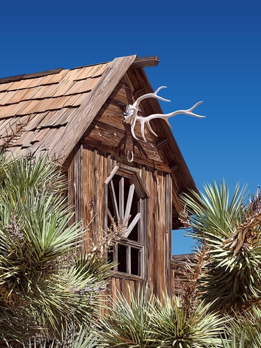 vector hyperrealism - Pioneertown Painting California Joshua Tree Art