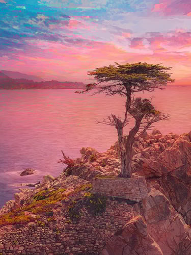 The Lone Cypress Illustration Painting in Monterey 17 Mile Drive (vector hyperrealism)