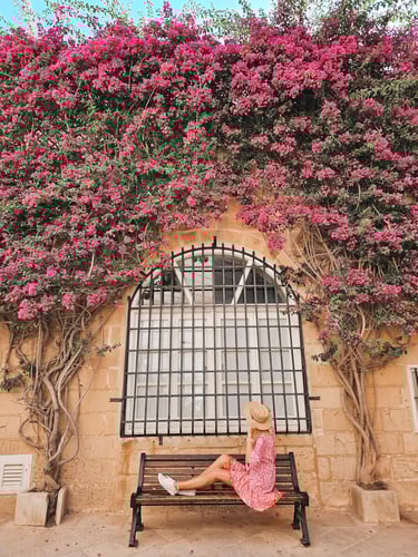 mdina bench with flower