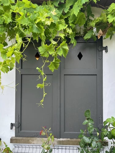 Double volet en bois gris