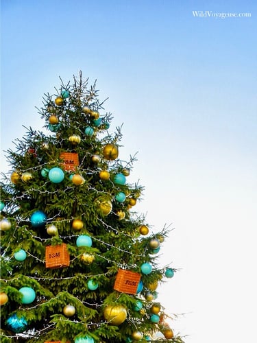 Somerset House - 2018