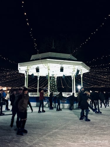 Winter Wonderland - 2016