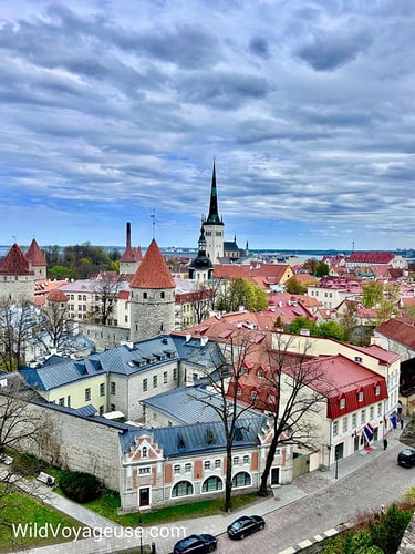 Vue sur la ville-basse de Tallinn depuis Patkuli Vaateplatvorm