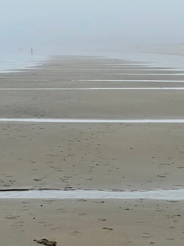 Off in the Distance - Photograph by Lynn Ellis