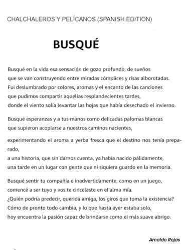POEMA: BUSQUÉ (ARNALDO ROJAS)