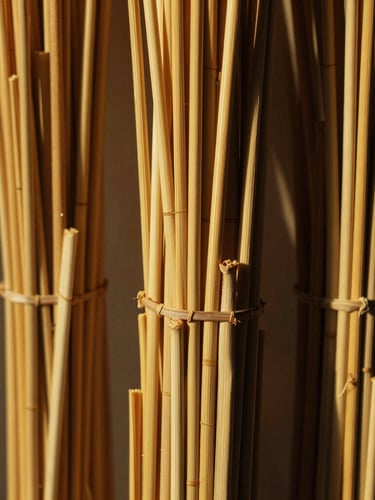 Close-up of golden sun-dried reeds bundled together, warm golden-hour light casting long dramatic shadows, rich straw texture, shallow depth of field