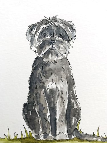 Dog