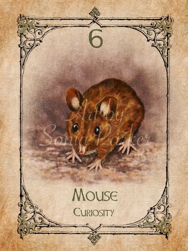 Mouse from the Animal Spirit Oracle deck