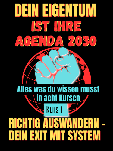 buch cover dexit richtig auswander raus aus dme system i