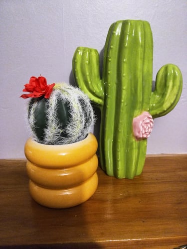 Cactus plant and ornament.