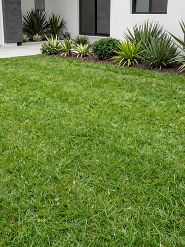 Bright natural photography of a perfectly manicured green lawn and neat garden beds in a modern Perth home, crisp daylight, 35mm