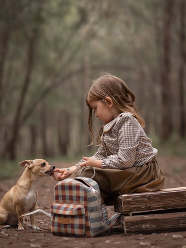 a little girl sitting on a bench with a dog