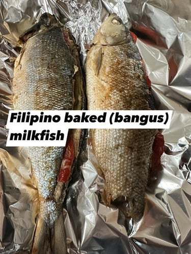 bangus milkfish
