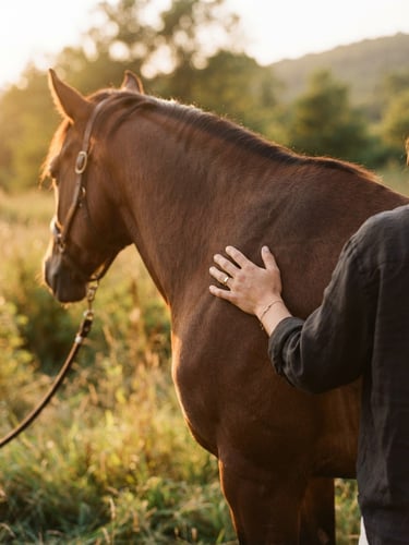 Close-up of a human hand gently resting on a horse's shoulder, warm golden hour natural light, soft focus, 35mm film