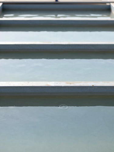 An operational wastewater treatment tank with clear water overflowing weir plates, bright daylight, crisp focus, 35mm lens.