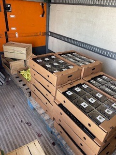 a truck with boxes of boxes of boxes of boxes