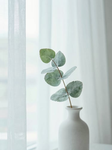 Ethereal lifestyle photography of soft morning window light filtering through sheer curtains, a delicate eucalyptus leaf in a white ceramic vase, pale blue and white watercolor tones, shallow depth of field, 35mm