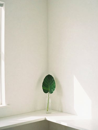 A bright, airy Bonita Springs office corner with a single green leaf in a glass vase, soft diffused sunlight, desaturated pastel tones, 35mm