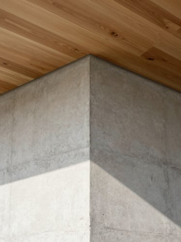 Architectural photography of a clean concrete wall meeting a warm oak timber ceiling, soft natural daylight casting sharp geometric shadows on the plaster surface, orthogonal detail shot, 35mm