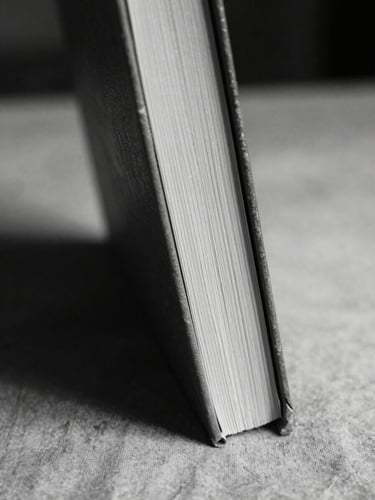 Black and white close-up of a book spine resting against a worn fabric surface, tungsten indoor light casting a warm shadow to the left, the spine's texture sharp, surrounding objects out of focus, intimate and still