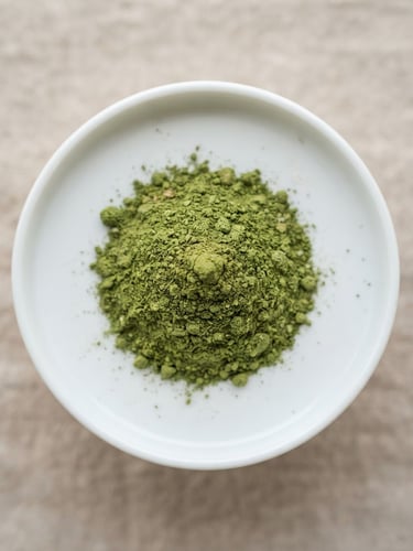 Macro overhead shot of ultra-fine green moringa powder on a clinical white laboratory dish, bright natural daylight, crisp details