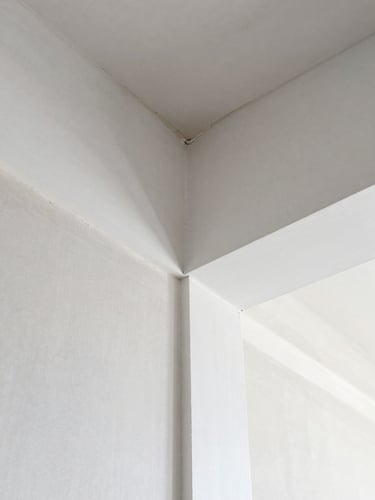 A close-up of a perfectly finished drywall joint in bright, natural daylight, sharp architectural lines, dust-free, clean cool tones, 35mm lens.