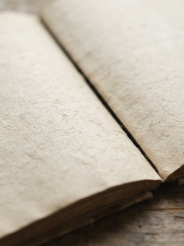 soft natural light photography, close-up of the textured paper of an open book, minimalist composition, muted neutral tones, shallow depth of field, 50mm