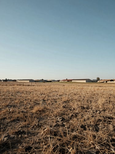 Wide ground-level view looking across an undeveloped residential lot, dry grass and compacted earth in the foreground, neighboring lots and low perimeter walls visible in the mid-distance, open sky filling the upper half, mid-morning natural daylight, no people, no staging
