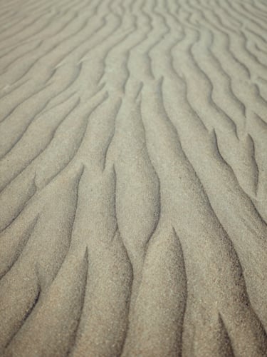 Abstract natural texture of dry sand waves and soft shadows, warm afternoon light, calming editorial photography, 35mm