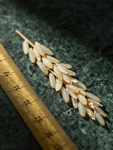 A single, incredibly long raw rice grain placed next to a vintage brass measuring ruler on dark green marble, dramatic side-lighting catching the translucent texture