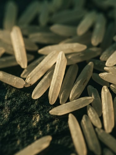 Moody editorial food photography, extreme macro close-up of raw extra-long basmati rice grains resting on dark textured stone, dramatic golden-hour side-lighting, deep forest green shadows